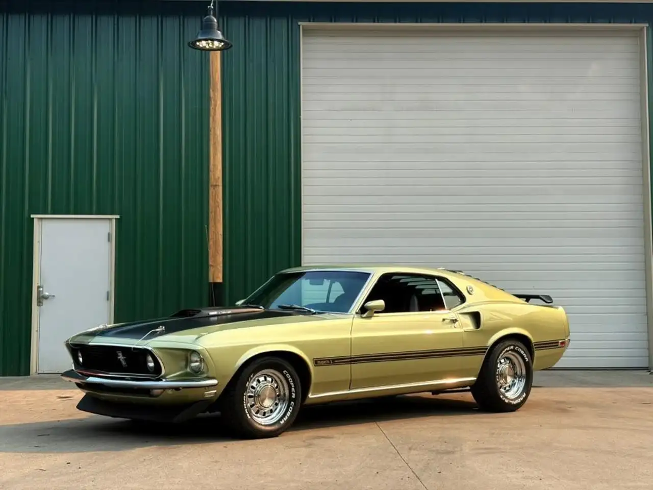 Ford Mustang Mach 1, foto 8