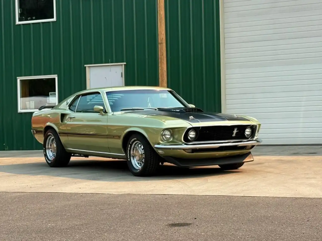Ford Mustang Mach 1, foto 7