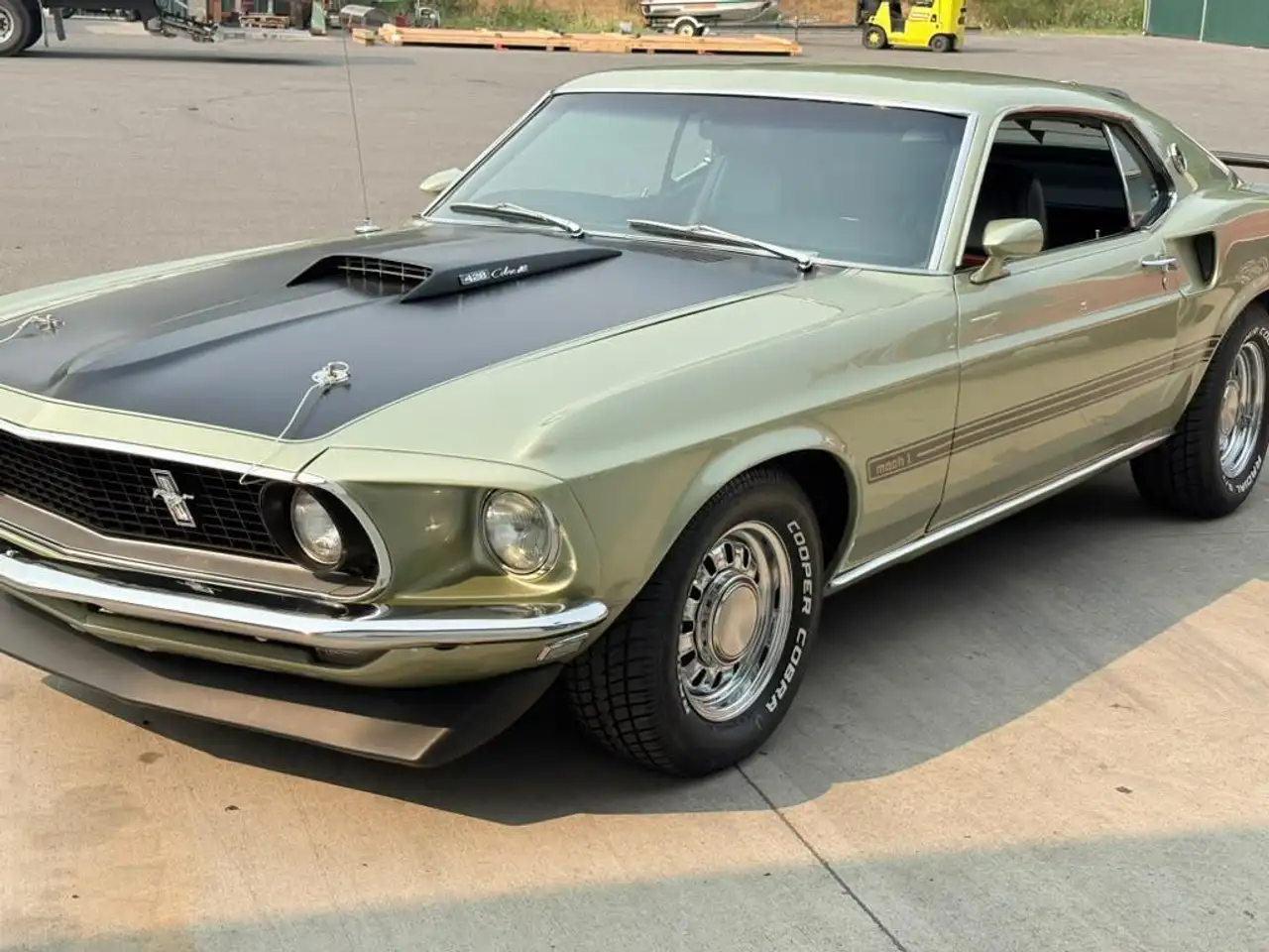 Ford Mustang Mach 1, foto 9