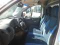Fiat Scudo furgone frigo coibentato Blanc - thumbnail 13