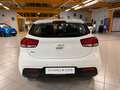 Kia Rio Edition 7|SHZ|LHZ|PDC|DAB|Klima|Tempomat|BT Blanc - thumbnail 5