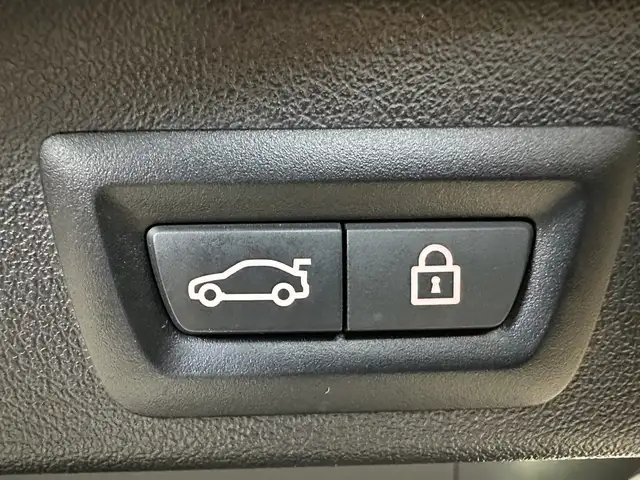 BMW X5 view 7