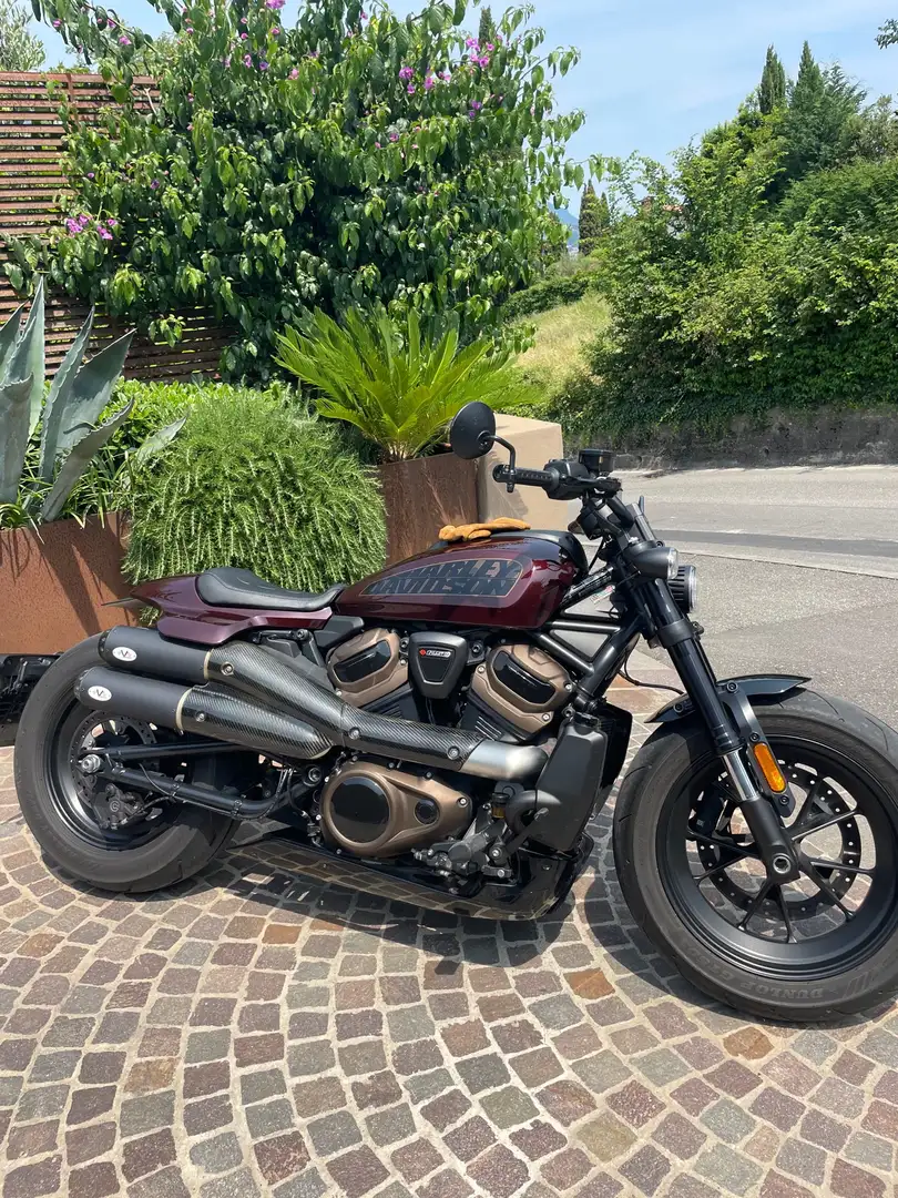 Harley-Davidson Sportster Marrone - 2