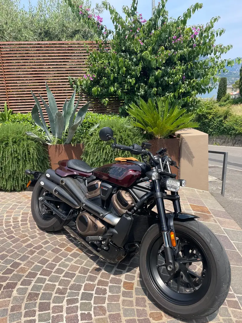 Harley-Davidson Sportster Marrone - 1