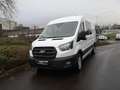 Ford Transit Transit Kasten DoKa 2,0 EcoBlue L3H2 350 Trend Weiß - thumbnail 2