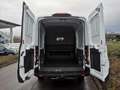 Ford Transit Transit Kasten DoKa 2,0 EcoBlue L3H2 350 Trend Weiß - thumbnail 4