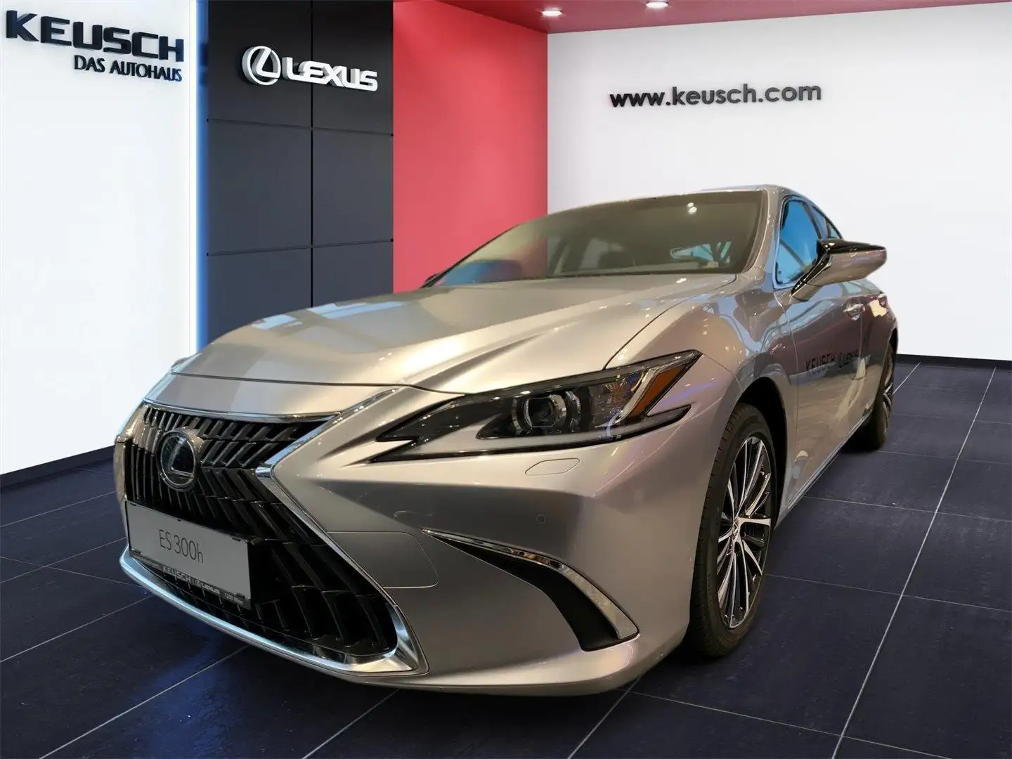 Lexus ES 300 h Business Line Stříbrná - 1