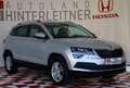 Skoda Karoq TDI Style Limited LED AHV WINTERPAKET Silber - thumbnail 7