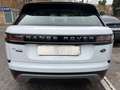 Land Rover Range Rover Velar 2.0D SE 4WD Aut. 180 Blanco - thumbnail 5