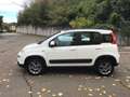 Fiat Panda 1.3 mjt 16v 4x4 75cv  UNICO PROPRIETARIO Bianco - thumbnail 1