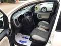 Fiat Panda 1.3 mjt 16v 4x4 75cv  UNICO PROPRIETARIO Bianco - thumbnail 8