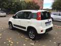 Fiat Panda 1.3 mjt 16v 4x4 75cv  UNICO PROPRIETARIO Bianco - thumbnail 3