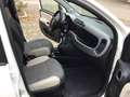 Fiat Panda 1.3 mjt 16v 4x4 75cv  UNICO PROPRIETARIO Bianco - thumbnail 12
