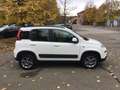 Fiat Panda 1.3 mjt 16v 4x4 75cv  UNICO PROPRIETARIO Bianco - thumbnail 7