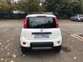 Fiat Panda 1.3 mjt 16v 4x4 75cv  UNICO PROPRIETARIO Bianco - thumbnail 2