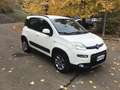 Fiat Panda 1.3 mjt 16v 4x4 75cv  UNICO PROPRIETARIO Bianco - thumbnail 4