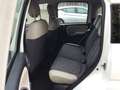 Fiat Panda 1.3 mjt 16v 4x4 75cv  UNICO PROPRIETARIO Bianco - thumbnail 9