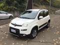 Fiat Panda 1.3 mjt 16v 4x4 75cv  UNICO PROPRIETARIO Bianco - thumbnail 6