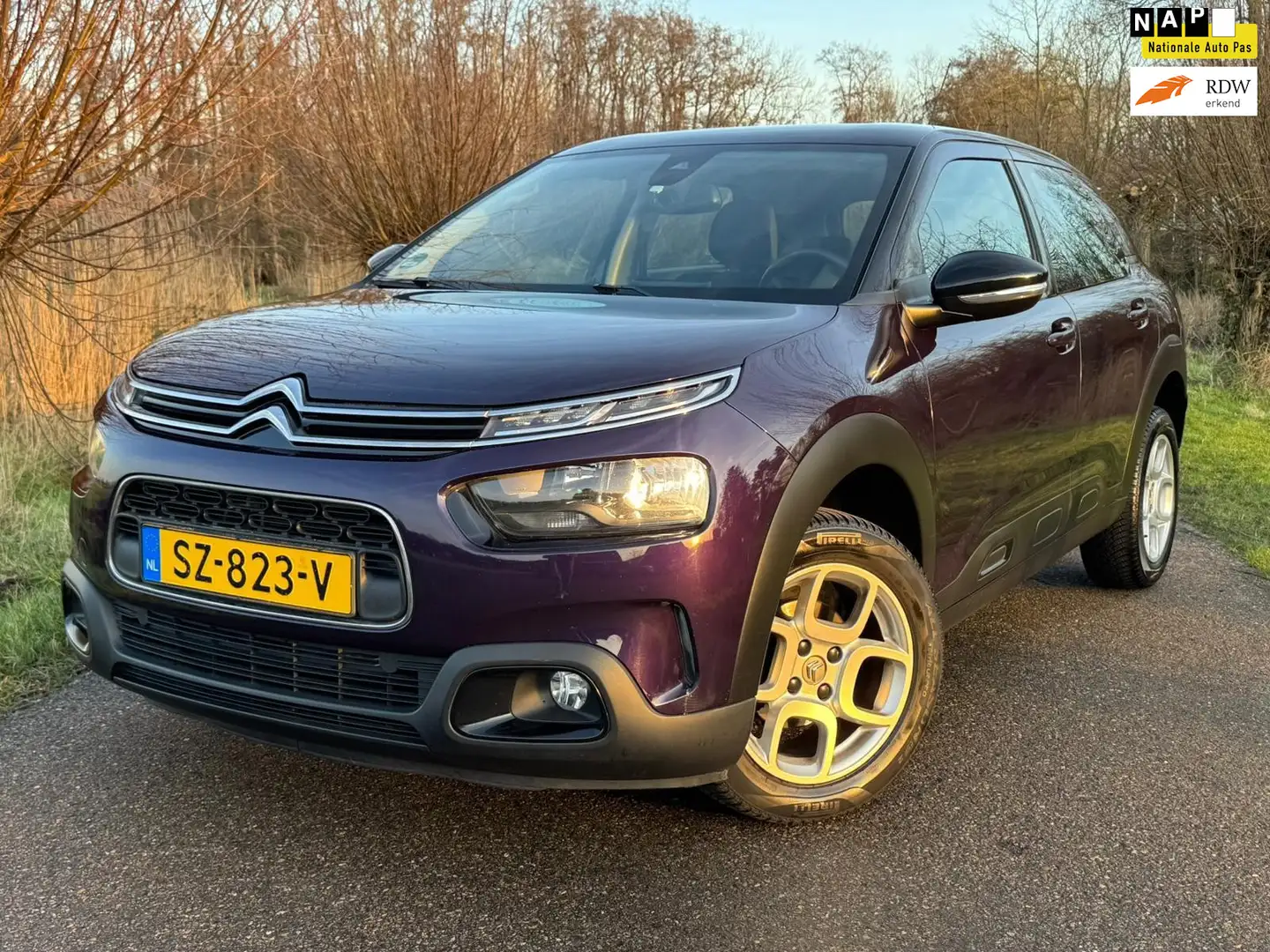 Citroen C4 Cactus 1.2 PureTech Business / Airco / Navigatie / Cruise Paars - 1