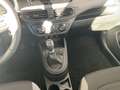 Hyundai i10 (MY25) 1.0 Benzin (58 PS) 5-MT 2WD Trend Grau - thumbnail 13