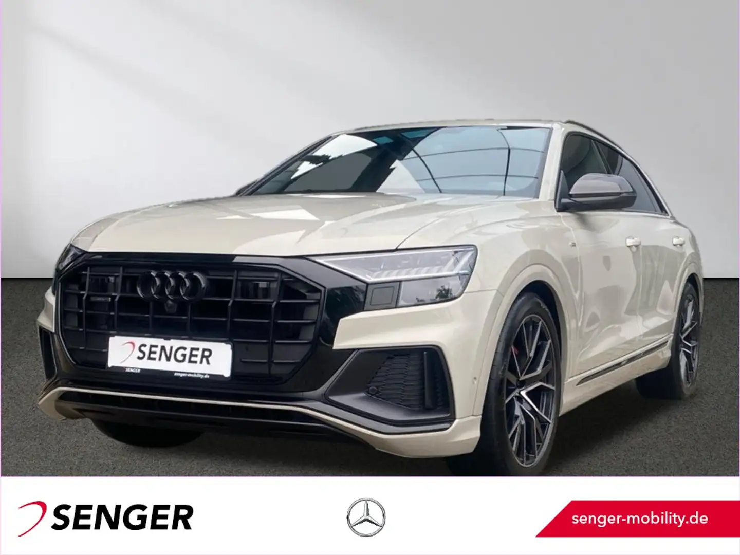 Audi Q8 50 TDI Quattro Competition B&O AHK Panorama Silber - 1