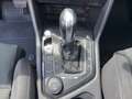 Volkswagen Tiguan Sky TDI SCR 4MOTION DSG Grau - thumbnail 19
