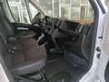 Peugeot Boxer 335 2.2 BlueHDi 140 S&S PM-TM Furgone Weiß - thumbnail 35