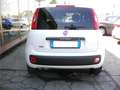 Fiat Panda 1.2  Van 2p Bluethoot Vivavoce Portacellulare Bianco - thumbnail 6