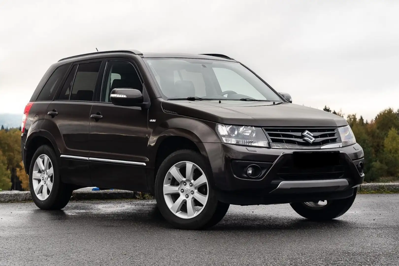 Suzuki Grand Vitara 1.9 DDiS Comfort Brown - 1