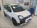 Fiat Panda Panda 1.0 FireFly S&S Hybrid City Cross Bianco - thumbnail 3