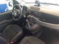Fiat Panda Panda 1.0 FireFly S&S Hybrid City Cross Bianco - thumbnail 10