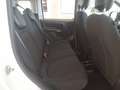 Fiat Panda Panda 1.0 FireFly S&S Hybrid City Cross Bianco - thumbnail 11