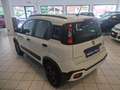 Fiat Panda Panda 1.0 FireFly S&S Hybrid City Cross Bianco - thumbnail 8