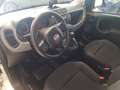 Fiat Panda Panda 1.0 FireFly S&S Hybrid City Cross Bianco - thumbnail 12