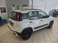 Fiat Panda Panda 1.0 FireFly S&S Hybrid City Cross Bianco - thumbnail 6