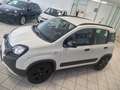 Fiat Panda Panda 1.0 FireFly S&S Hybrid City Cross Bianco - thumbnail 4