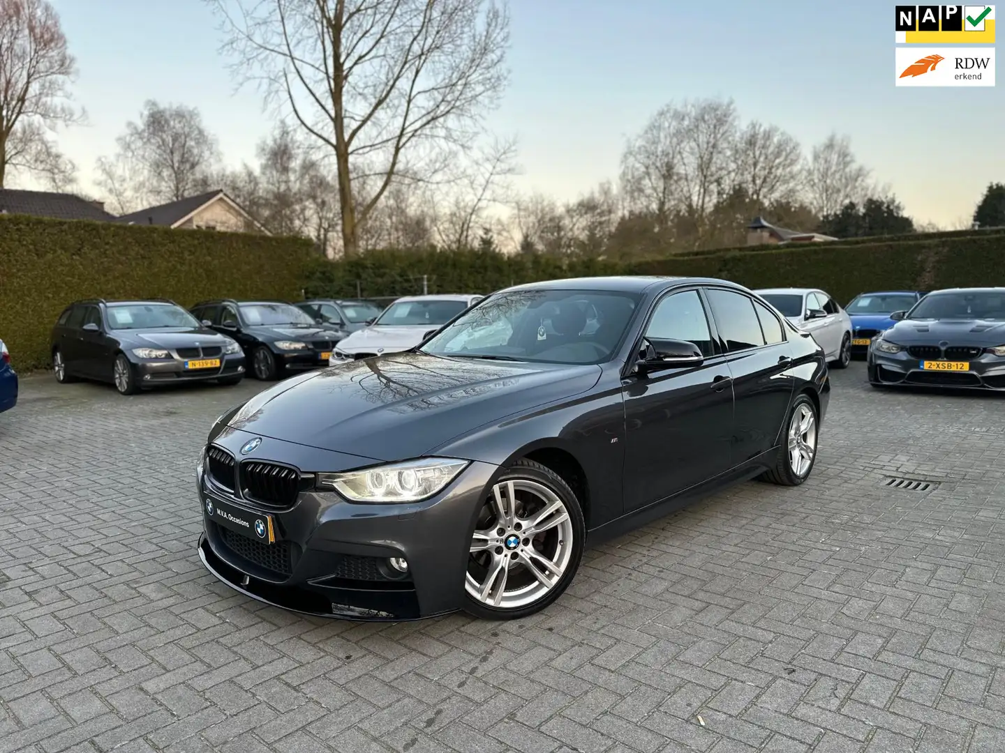 BMW 316 3-serie 316i Executive M Sport|Nwe Ketting + Kleps Gri - 1