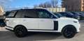 Land Rover Range Rover 3.0 SDV6 Vogue *IVA ESPOSTA* Wit - thumbnail 7