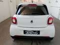 smart forFour forfour 70 1.0 twinamic  Tua da 149,00  AL MESE Blanc - thumbnail 3