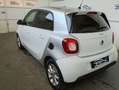 smart forFour forfour 70 1.0 twinamic  Tua da 149,00  AL MESE Blanc - thumbnail 2