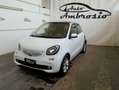 smart forFour forfour 70 1.0 twinamic  Tua da 149,00  AL MESE Blanc - thumbnail 1