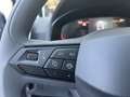 SEAT Arona 1,0 TSI Reference Edition Blau - thumbnail 11
