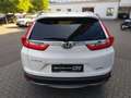 Honda CR-V 2.0 i-MMD HYBRID 2WD Lifestyle/Leder/LED Weiß - thumbnail 10