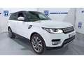 Land Rover Range Rover Sport 3.0SDV6 Hybrid HSE 340 Blanco - thumbnail 6