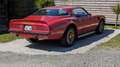 Pontiac Firebird TransAm 6.6 TA V8 Rosso - thumbnail 6