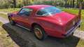 Pontiac Firebird TransAm 6.6 TA V8 Rojo - thumbnail 9