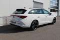 CUPRA Leon SP Kombi Alpha 2.0 TDI DSG 150 Blanc - thumbnail 5