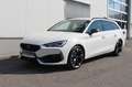 CUPRA Leon SP Kombi Alpha 2.0 TDI DSG 150 Blanc - thumbnail 1