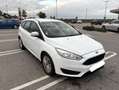 Ford Focus Traveller 1,5 TDCi Trend - thumbnail 3