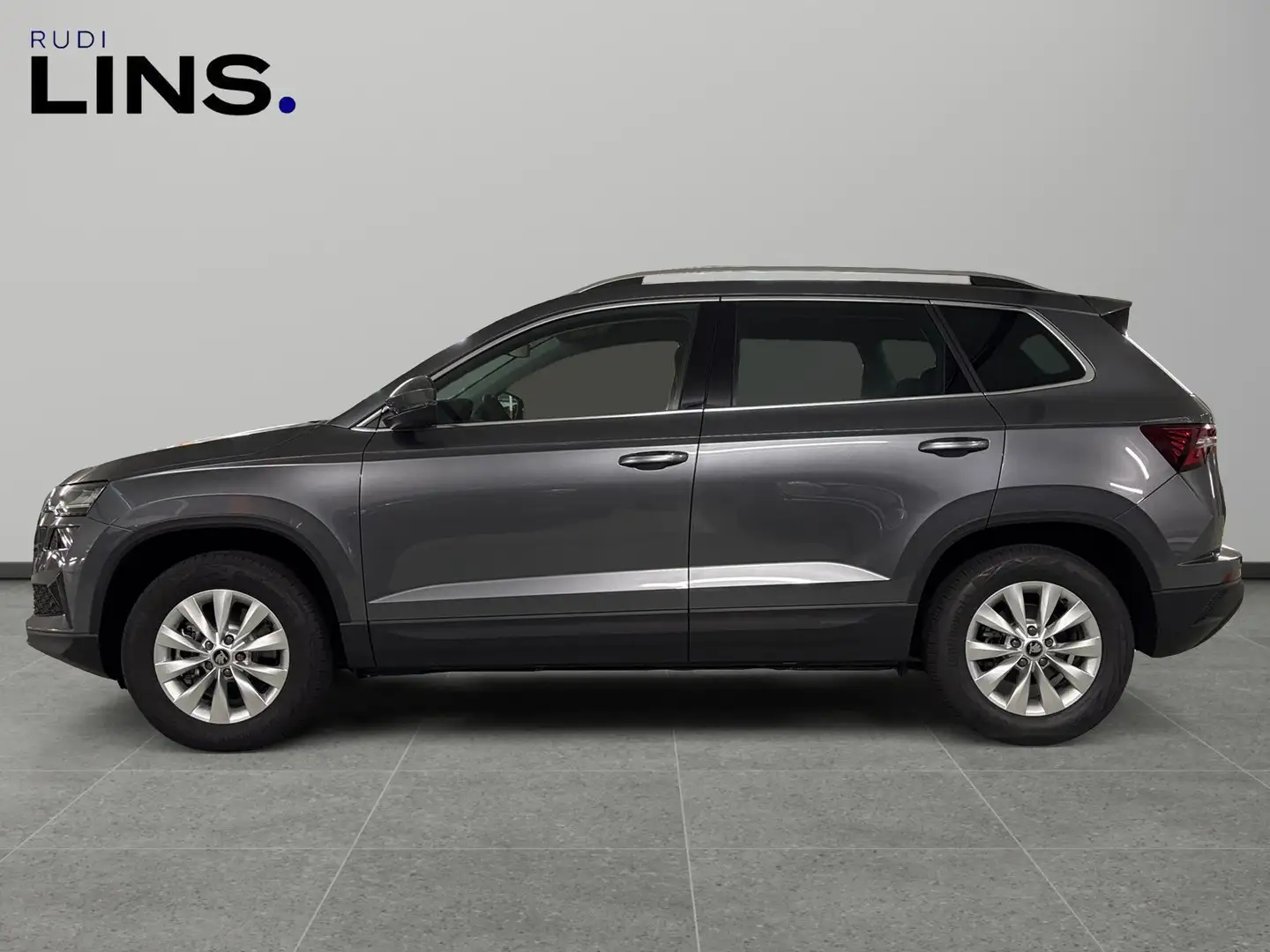 Skoda Karoq 4x4 Selection TDI DSG Grau - 2